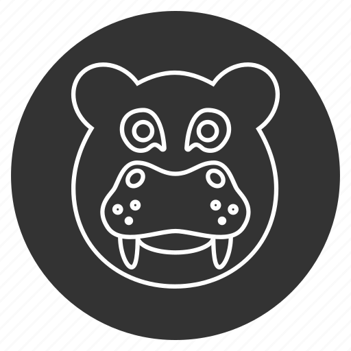 Animal, avatar, head, hipopotamo, hippo, hippopotamus, jungle icon - Download on Iconfinder