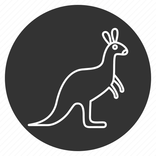 Animal, australian, kangaroo, mammal, wallaby, wallaroo, wildlife icon - Download on Iconfinder