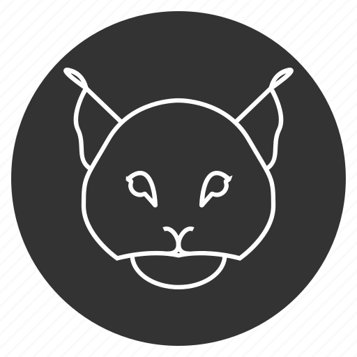 Animal, avatar, bobcat, face, feline, lynx, trot icon - Download on Iconfinder
