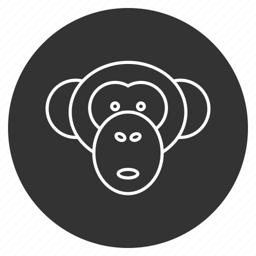 Animal, ape, character, face, head, marmoset, monkey icon - Download on Iconfinder
