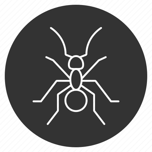 Ant, beetle, bug, insect, parasite, pest, termyt icon - Download on Iconfinder