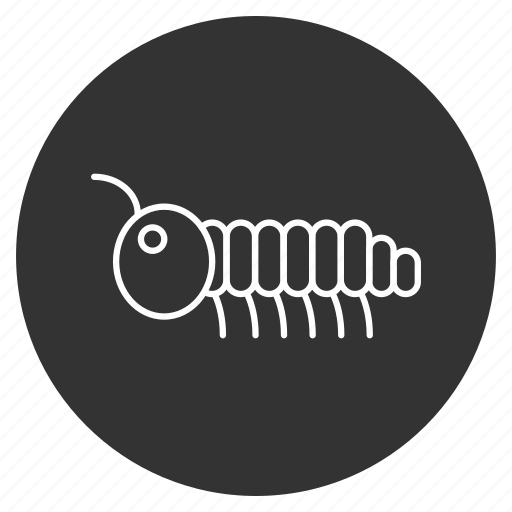 Grub, larva, nymph, parasite, pest, slug, worm icon - Download on Iconfinder