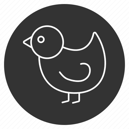 Bird, chick, chickling, chuck, cute, spring chicken, springer icon - Download on Iconfinder