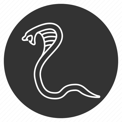 Cobra, danger, poisonous, reptile, reptilian, snake, wild icon - Download on Iconfinder