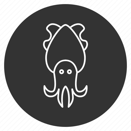 Animal, cephalopod, cuttle, cuttlefish, mollusk, sea food, seafood icon - Download on Iconfinder