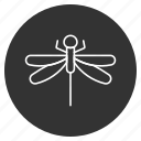 darning-needle, dragonfly, flying adder, insect, natural drone, ragonfly, wings