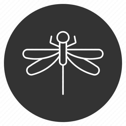 Darning-needle, dragonfly, flying adder, insect, natural drone, ragonfly, wings icon - Download on Iconfinder