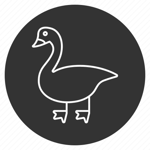 Animal, bird, creature, goose, nature, swan, wild icon - Download on Iconfinder