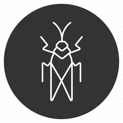 Beetle, bug, grasshopper, insect, locust, parasite, pest icon - Download on Iconfinder