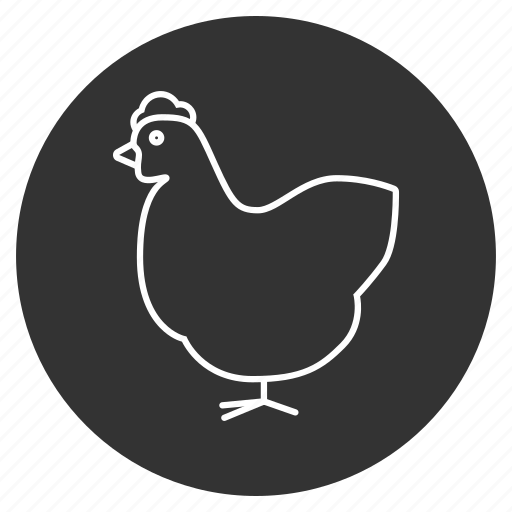 Bantam, bird, chick, chicken, cock, cock-a-doodle-doo, hen icon - Download on Iconfinder