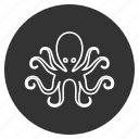cephalopod, devilfish, octopus, poulpe, sea food, seafood, underwater
