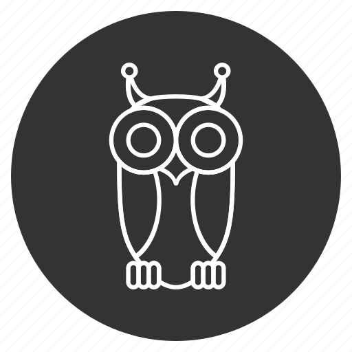 Bird, cute, nature, owl, predator, wild, wildlife icon - Download on Iconfinder