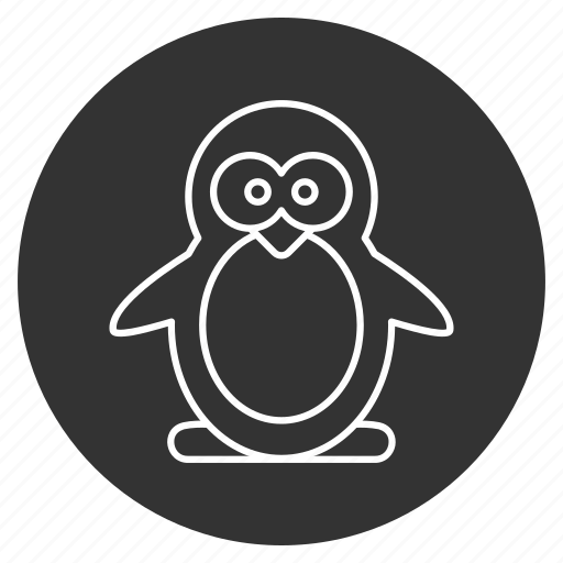 Animal, beak, bird, cold, cute, nature, penguin icon - Download on Iconfinder