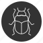 beetle, bug, cockroach, dor, dorr, insect, scarab 