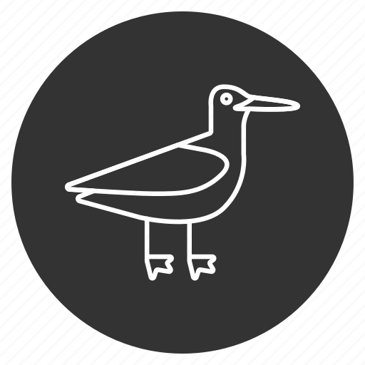 Bird, heron, nature, sandpiper, sea gull, sea mew, seagull icon - Download on Iconfinder