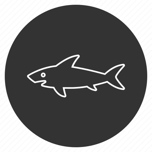Danger, fish, ocean, predator, shark, underwater, wildlife icon - Download on Iconfinder