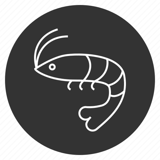 Bait, crustacean, nutrition, prawn, sea food, seafood, shrimp icon - Download on Iconfinder