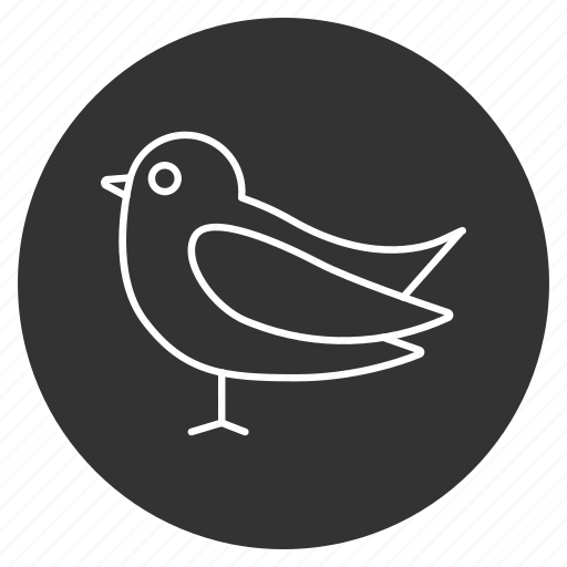 Bird, birdie, canary, canary-bird, canary-finch, sparrow, tweet icon - Download on Iconfinder
