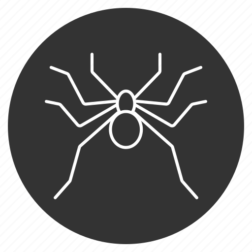 Bug, crawler, insect, monster, parasite, spider, web icon - Download on Iconfinder
