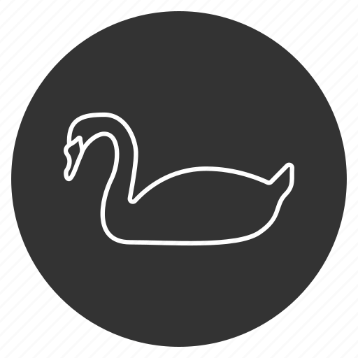 Beautiful, beauty, bird, fine, glory, nature, swan icon - Download on Iconfinder