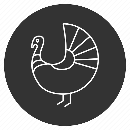 Bird, chicken, farm, food, thanksgiving, traditional, turkey icon - Download on Iconfinder