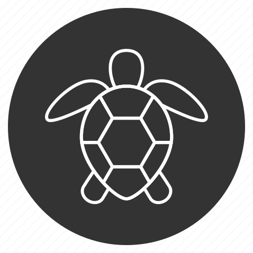 Animal, creeper, reptile, testudinate, tortoise, tortoiseshell, turtle icon - Download on Iconfinder