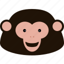 ape, jocko, monkey, simian, animal