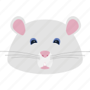 mouse, rat, animal