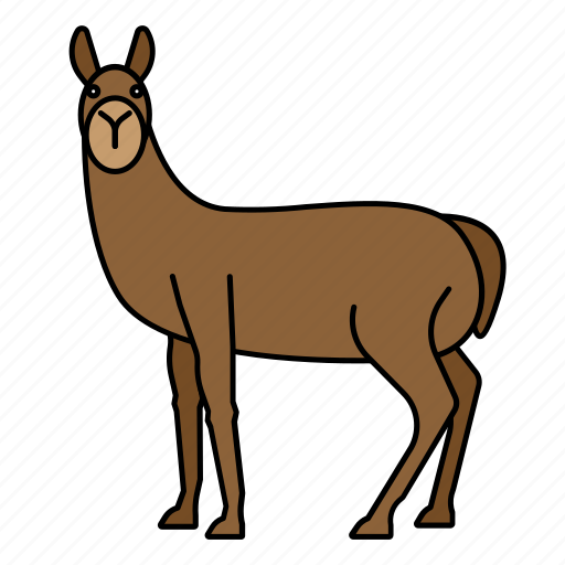 Animal, llama, mammal, wild, wildlife icon - Download on Iconfinder