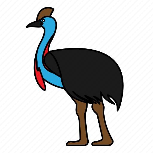 Animal, bird, cassowary, wild, wildlife icon - Download on Iconfinder
