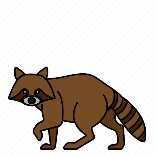 Animal, mammal, raccoon, wild, wildlife icon - Download on Iconfinder
