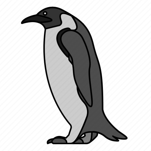 Animal, bird, penguin, wild, wildlife icon - Download on Iconfinder
