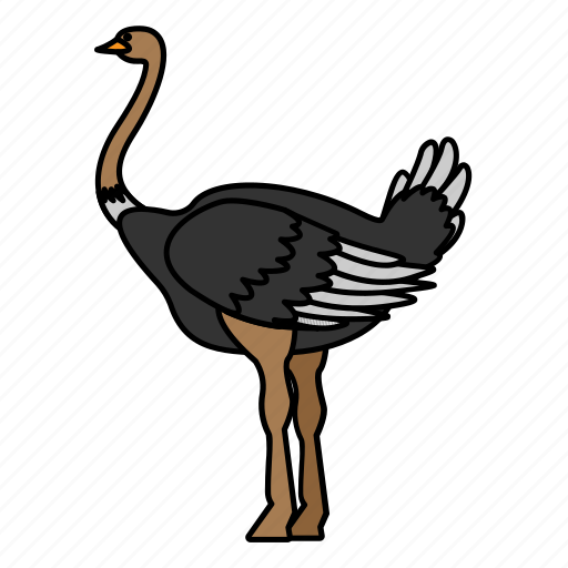 Animal, bird, ostrich, wild, wildlife icon - Download on Iconfinder