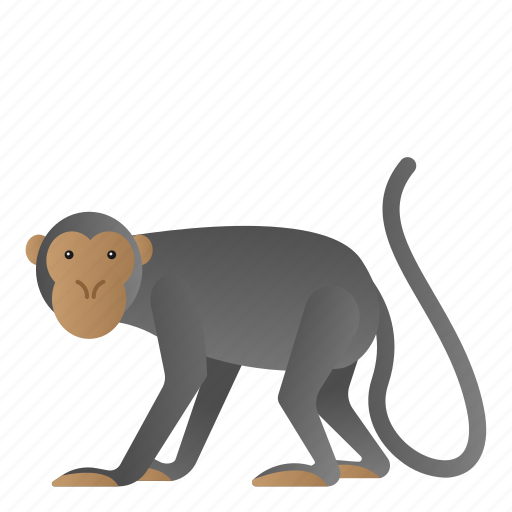 Animal, mammal, monkey, wild, wildlife icon - Download on Iconfinder
