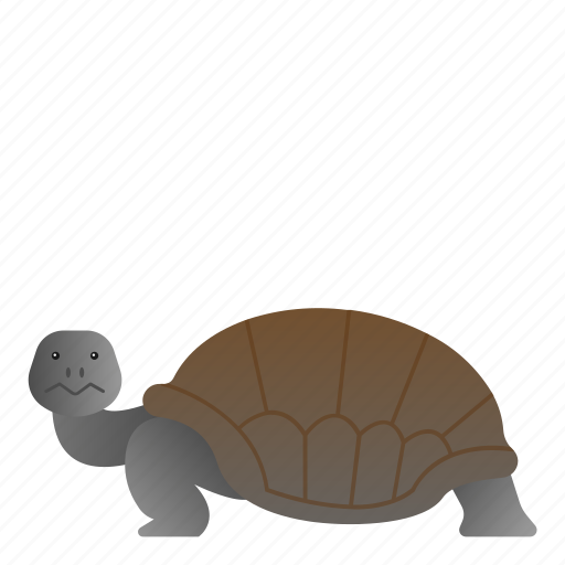Animal, reptile, turtle, wild, wildlife icon - Download on Iconfinder