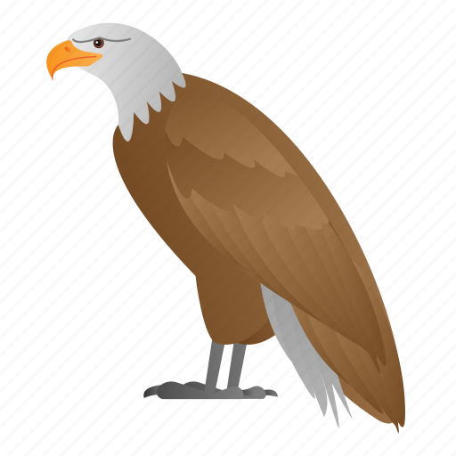 Animal, bird, eagle, wild, wildlife icon - Download on Iconfinder