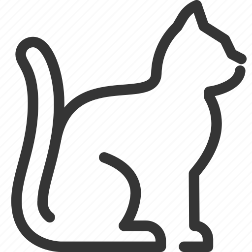 Cat, animal, forest, rights, zoo, nature, wild icon - Download on Iconfinder