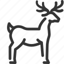deer, animal, forest, rights, zoo, nature, wild