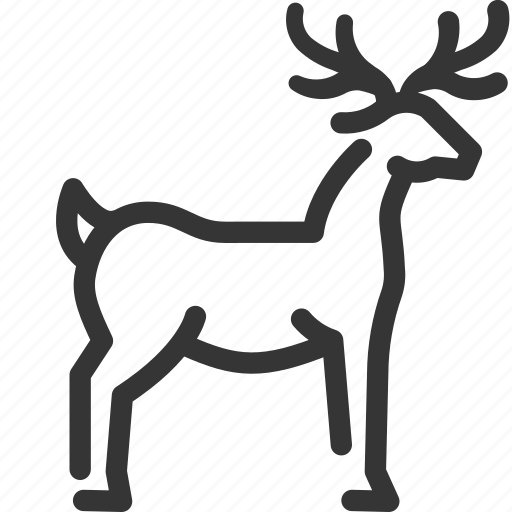 Deer, animal, forest, rights, zoo, nature, wild icon - Download on Iconfinder