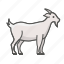 animal, farm, goat 
