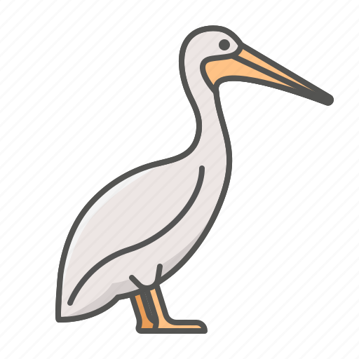 Animal, pelican, wild icon - Download on Iconfinder