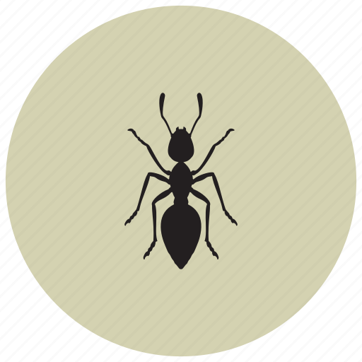 Animals, ant, collectors, vermin, workers icon - Download on Iconfinder