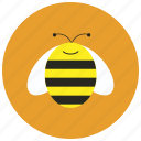 animals, bee, bug, hive, honey, stripes