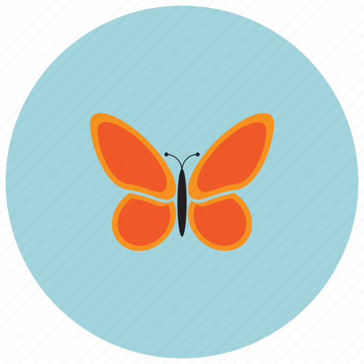Animals, bug, butterfly, spring icon - Download on Iconfinder