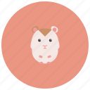 adorable, animals, cage, cute, hamster, pet