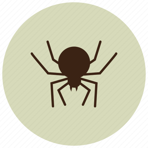 Animals, black widow, bug, deadly, spider icon - Download on Iconfinder
