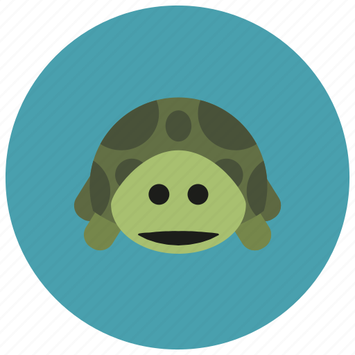 Animals, cute, pet, shell, slow, turtle icon