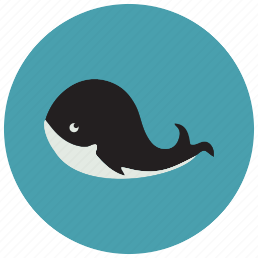 Animals, cute, ocean, smile, whale icon - Download on Iconfinder