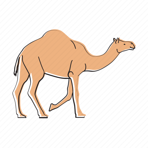 Animal, camel, desert, africa, wildlife icon - Download on Iconfinder