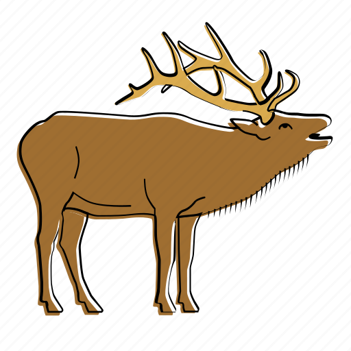 Elk, animal, canada, mammal, wildlife icon - Download on Iconfinder